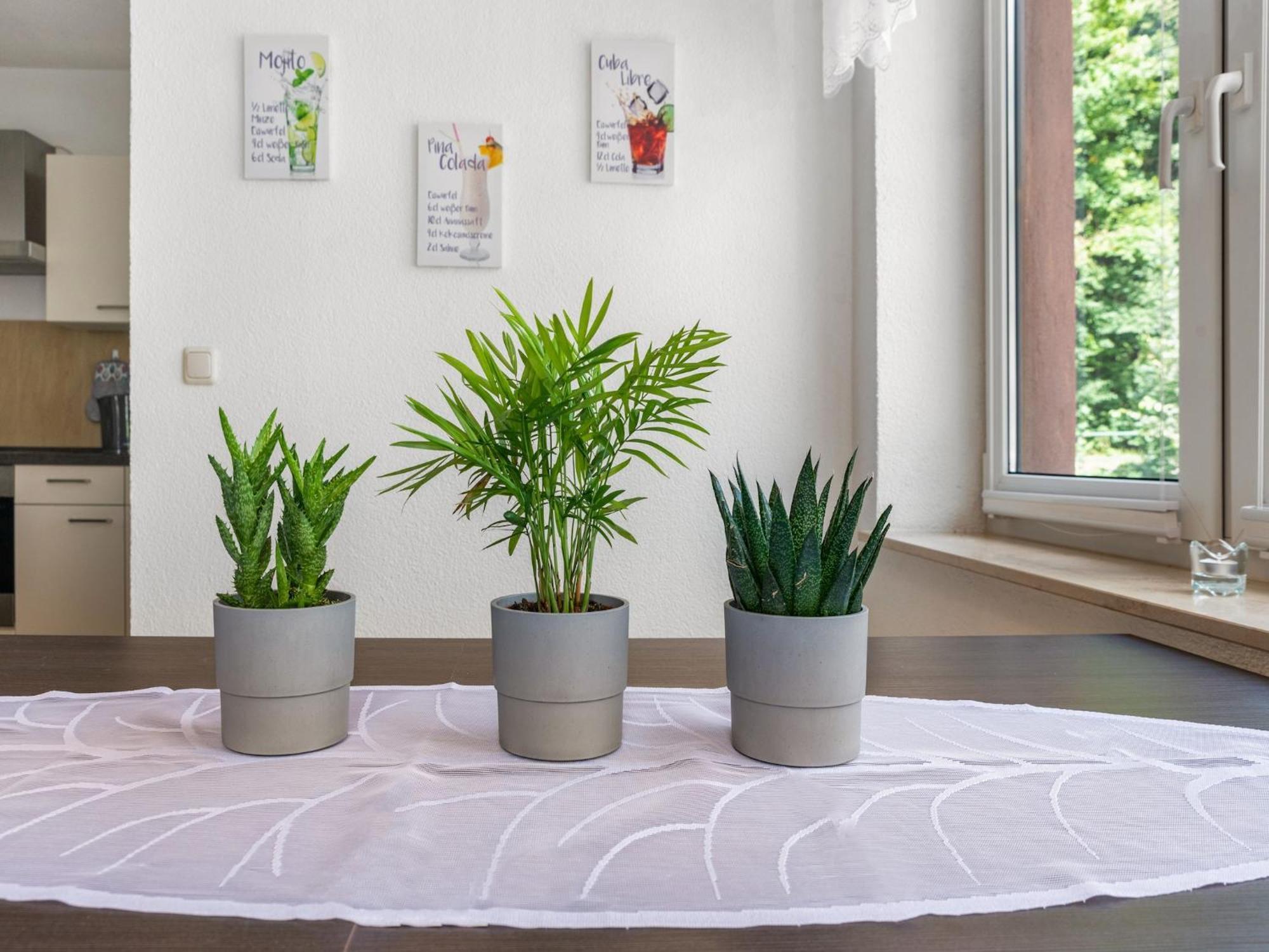 Modern In With A Terrace In Sebnitz